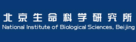 北京生命科学研究所（NIBS）何新建实验室2024年招聘博士后